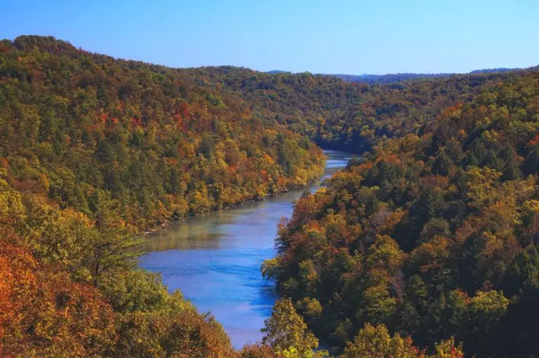 title loans kentucky
