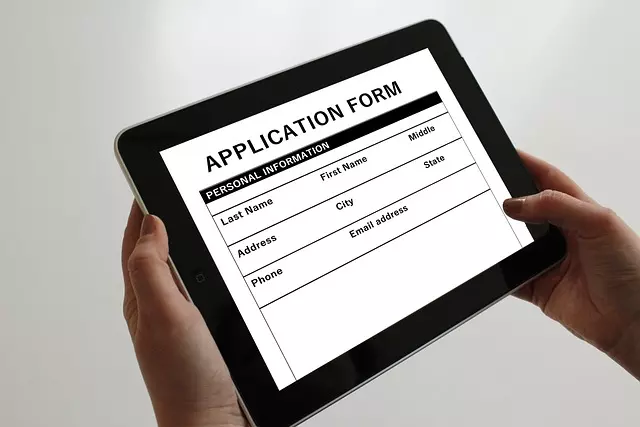 pink slip loan application process