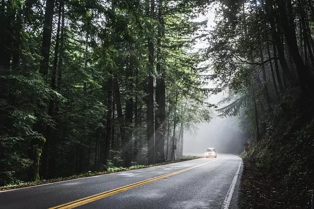 vehicle requirements for pink slip loans