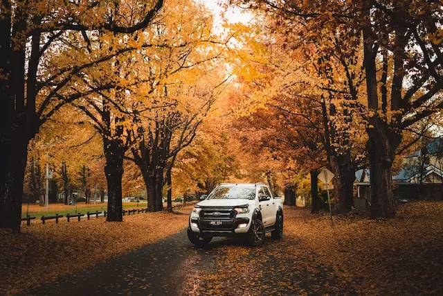 Auto Equity Loans