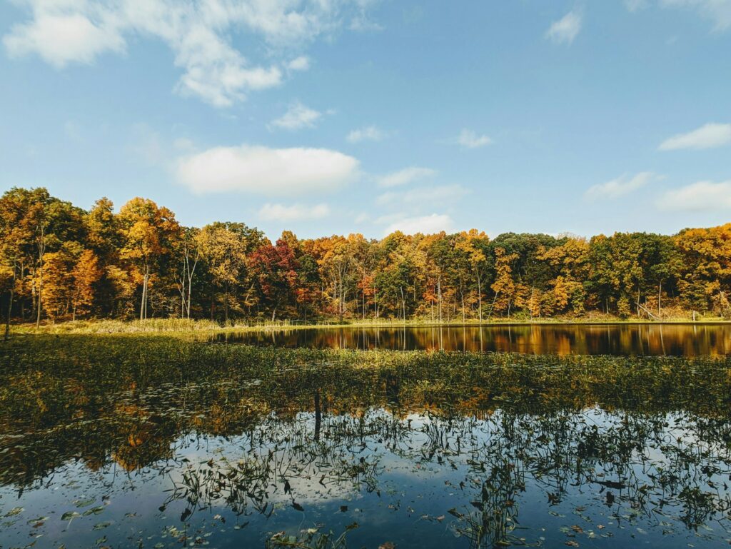 Title Loans in Indiana