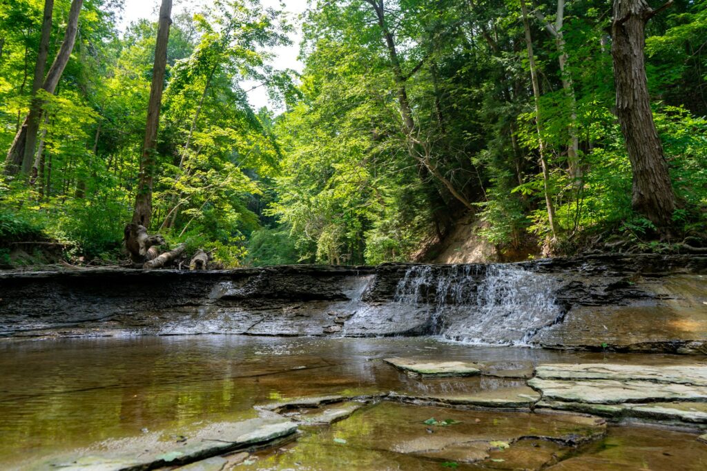Title Loans Ohio