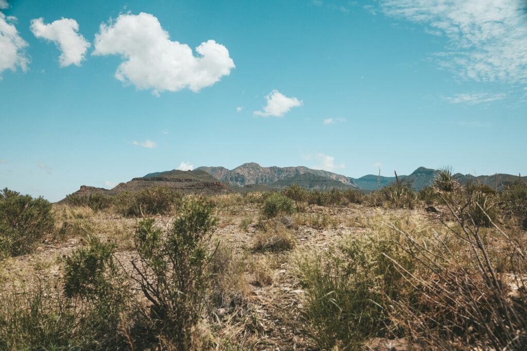 Title Loans Kingman AZ