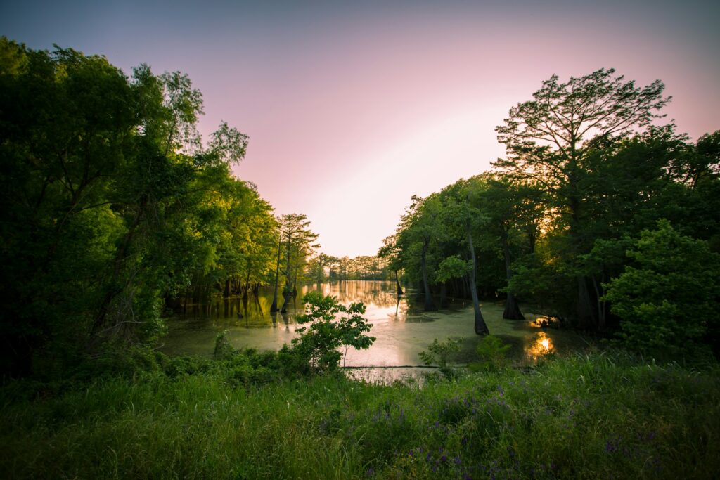 Title Loans Meridian MS