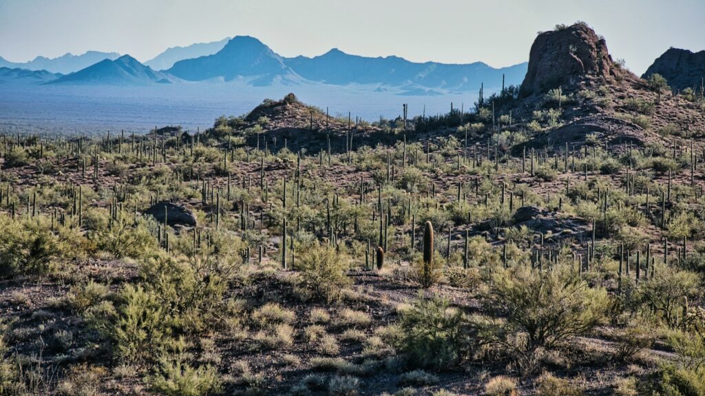 Title Loans in Yuma