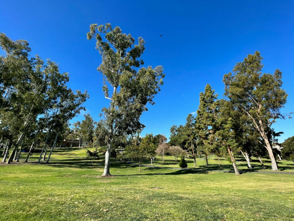 Title Loans in Irvine