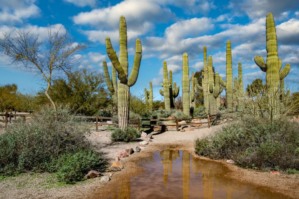 Title Loans in Gilbert