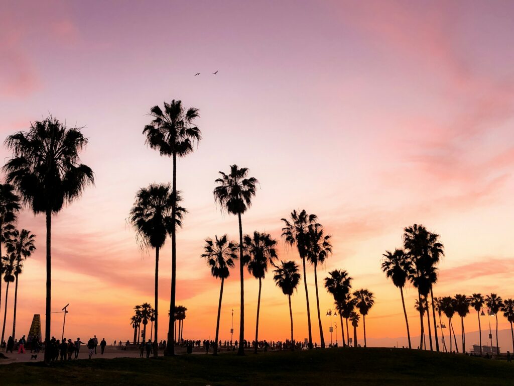Title Loans in CA